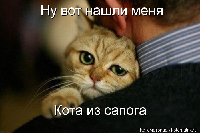 Ну вот нашли меня Кота из сапога... Котоматрица: Ну вот нашли меня Кота из сапога