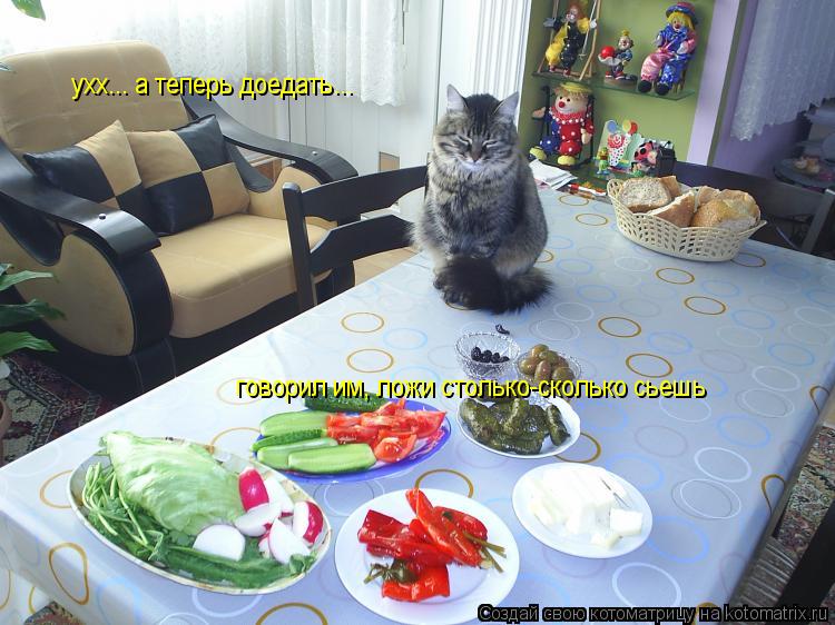 ухх... а теперь доедать... говорил им, ложи столько-сколько сьешь... Котоматрица: ухх... а теперь доедать... говорил им, ложи столько-сколько сьешь