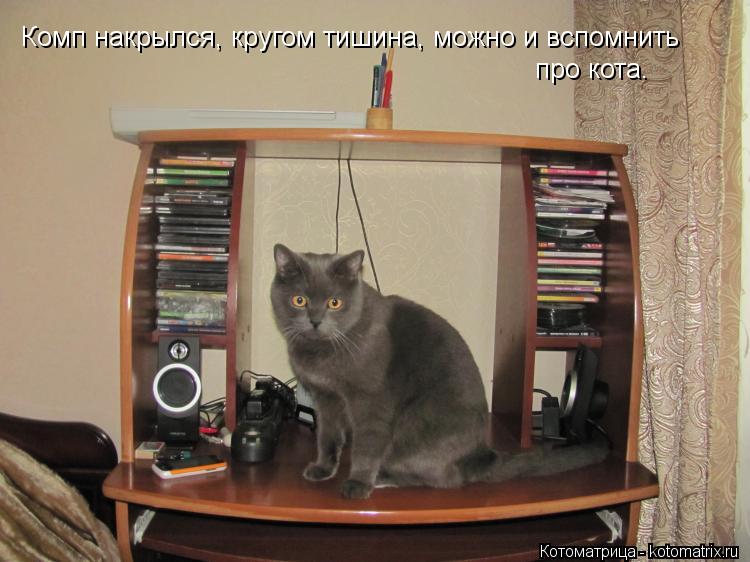 Комп накрылся, кругом тишина, можно и вспомнить про кота.... Котоматрица: Комп накрылся, кругом тишина, можно и вспомнить про кота.