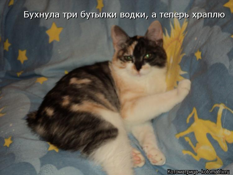 Бухнула три бутылки водки, а теперь храплю... Котоматрица: Бухнула три бутылки водки, а теперь храплю