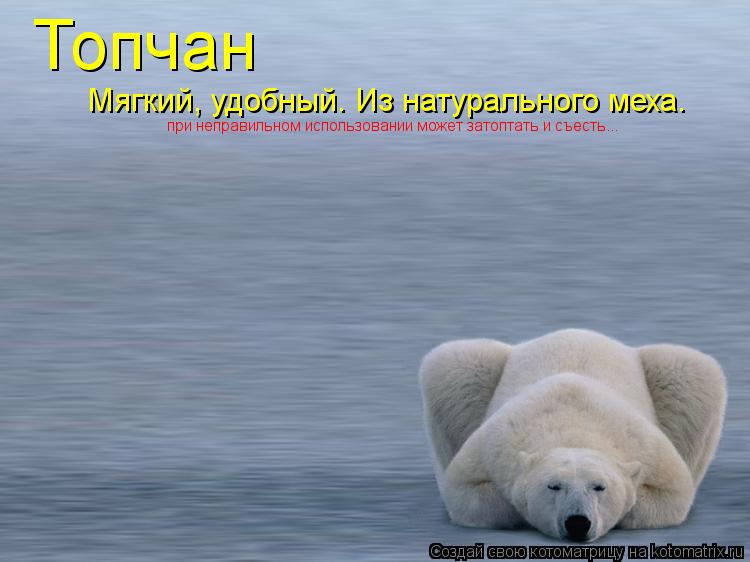 Топчан Мягкий, удобный. Из натурального меха. при неправильном использовании может затоптать и съесть... Котоматрица: Топчан Мягкий, удобный. Из натурального меха. при неправильном использовании может затоптать и съесть...