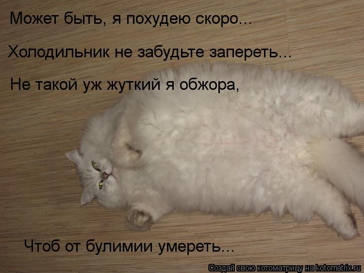 Может быть, я похудею скоро... Холодильник не забудьте запереть... Не такой уж жуткий я обжора, Чтоб... Котоматрица: Может быть, я похудею скоро... Холодильник не забудьте запереть... Не такой уж жуткий я обжора, Чтоб от булимии умереть...