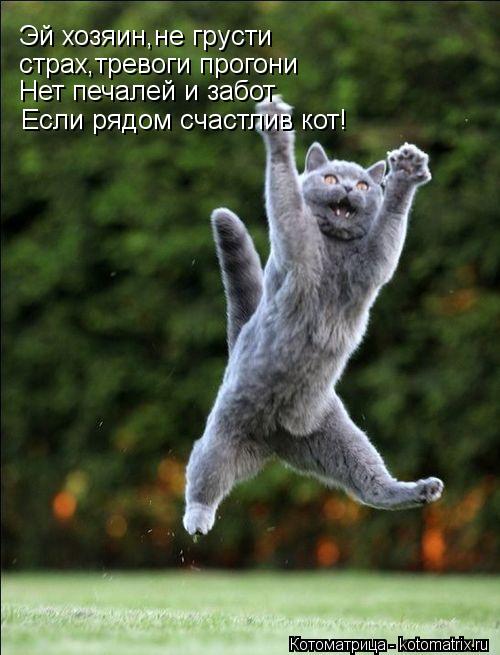 Эй хозяин,не грусти страх,тревоги прогони Нет печалей и забот Если рядом счастлив кот!... Котоматрица: Эй хозяин,не грусти страх,тревоги прогони Нет печалей и забот Если рядом счастлив кот!