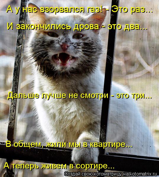 А у нас взорвался газ! - Это раз... И закончились дрова - это два... В общем, жили мы в квартире... А... Котоматрица: А у нас взорвался газ! - Это раз... И закончились дрова - это два... В общем, жили мы в квартире... А теперь живем в сортире... Дальше лучше не смотр