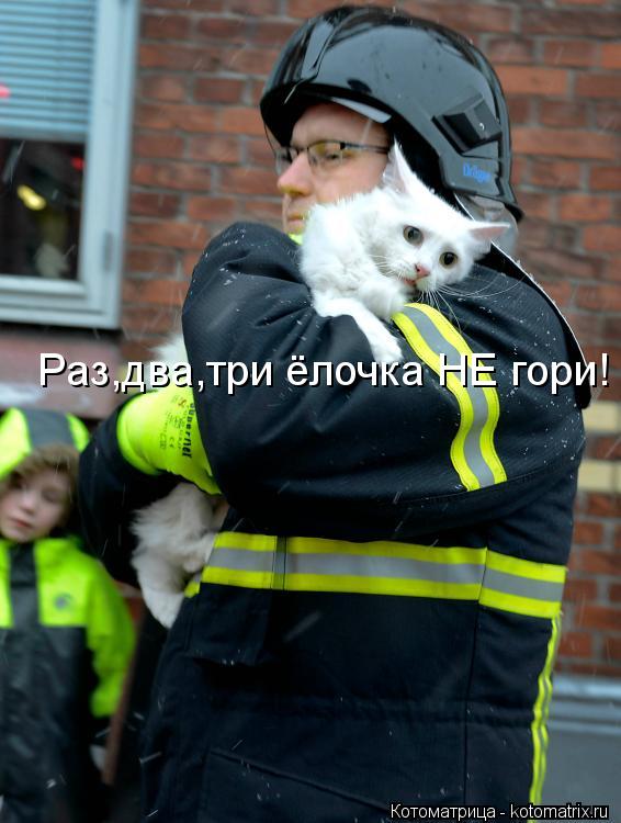 Раз,два,три ёлочка НЕ гори!... Котоматрица: Раз,два,три ёлочка НЕ гори!