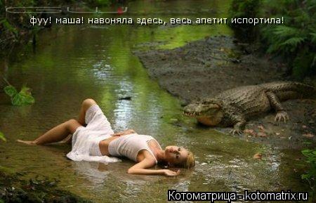 фуу! маша! навоняла здесь, весь апетит испортила!... Котоматрица: фуу! маша! навоняла здесь, весь апетит испортила!