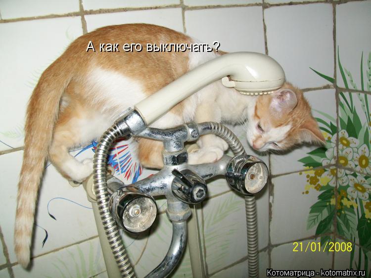 А как его выключать?... Котоматрица: А как его выключать?