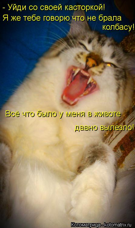 - Уйди со своей касторкой! Я же тебе говорю что не брала колбасу! Всё что было у меня в животе давн... Котоматрица: - Уйди со своей касторкой! Я же тебе говорю что не брала колбасу! Всё что было у меня в животе давно вылезло!