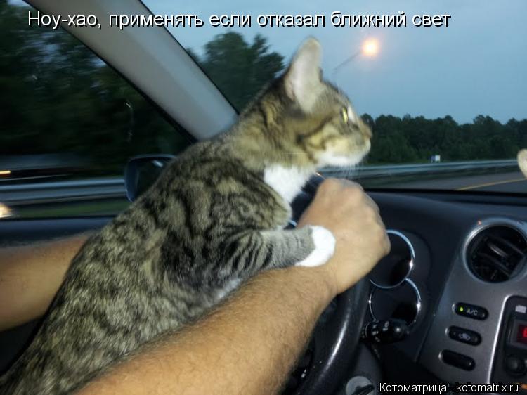 Ноу-хао, применять если отказал ближний свет... Котоматрица: Ноу-хао, применять если отказал ближний свет