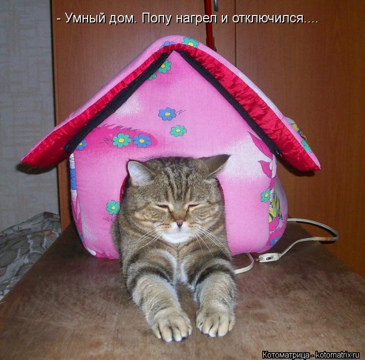 - Умный дом. Попу нагрел и отключился....... Котоматрица: - Умный дом. Попу нагрел и отключился....