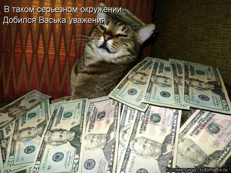В таком серьезном окружении Добился Васька уважения... Котоматрица: В таком серьезном окружении Добился Васька уважения