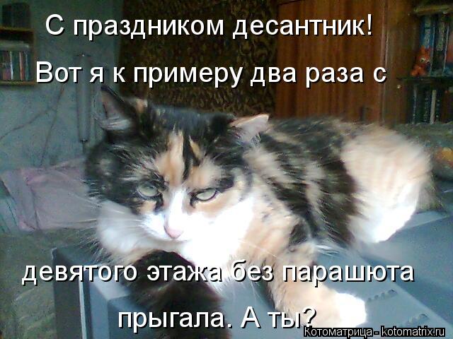 С праздником десантник! Вот я к примеру два раза с девятого этажа без парашюта прыгала. А ты?... Котоматрица: С праздником десантник! Вот я к примеру два раза с девятого этажа без парашюта прыгала. А ты?