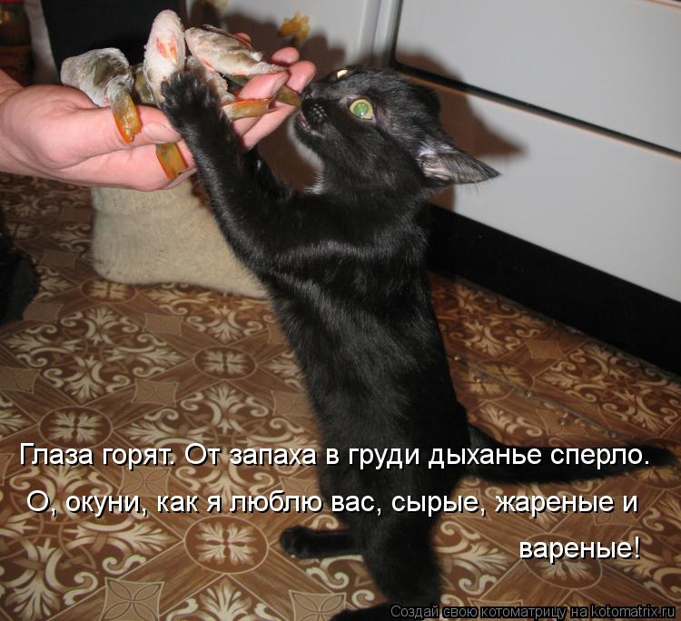 Глаза горят. От запаха в груди дыханье сперло. О, окуни, как я люблю вас, сырые, жареные и вареные!... Котоматрица: Глаза горят. От запаха в груди дыханье сперло. О, окуни, как я люблю вас, сырые, жареные и вареные!