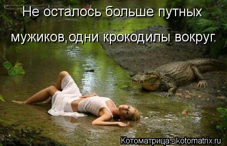 мужиков,одни крокодилы вокруг. Не осталось больше путных... Котоматрица: мужиков,одни крокодилы вокруг. Не осталось больше путных