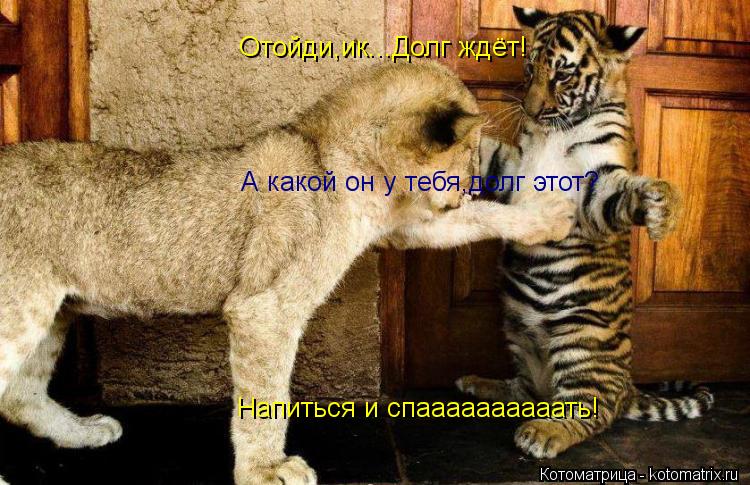 Отойди,ик...Долг ждёт! А какой он у тебя,долг этот? Напиться и спаааааааааать!... Котоматрица: Отойди,ик...Долг ждёт! А какой он у тебя,долг этот? Напиться и спаааааааааать!