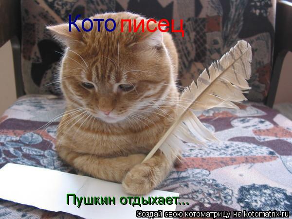 Кото писец Пушкин отдыхает...... Котоматрица: Кото писец Пушкин отдыхает...