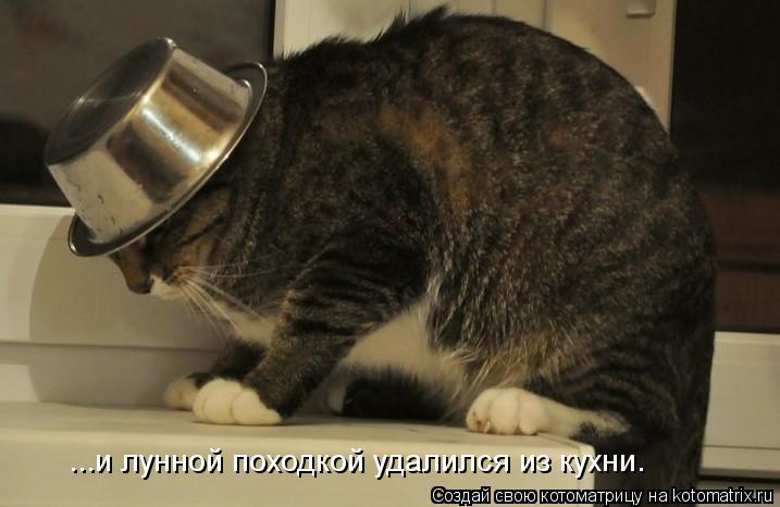 ...и лунной походкой удалился из кухни.... Котоматрица: ...и лунной походкой удалился из кухни.