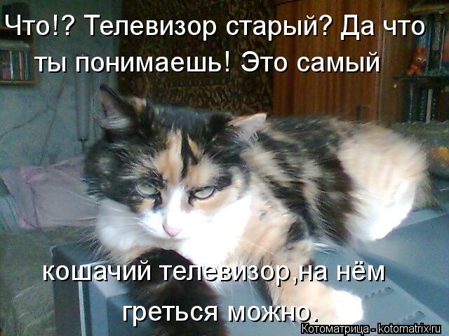Что!? Телевизор старый? Да что ты понимаешь! Это самый кошачий телевизор,на нём греться можно.... Котоматрица: Что!? Телевизор старый? Да что ты понимаешь! Это самый кошачий телевизор,на нём греться можно.
