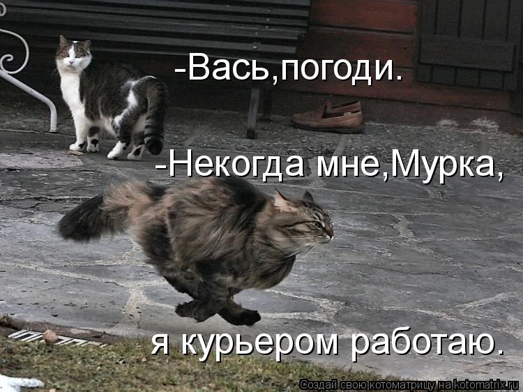 -Вась,погоди. -Некогда мне,Мурка, я курьером работаю.... Котоматрица: -Вась,погоди. -Некогда мне,Мурка, я курьером работаю.