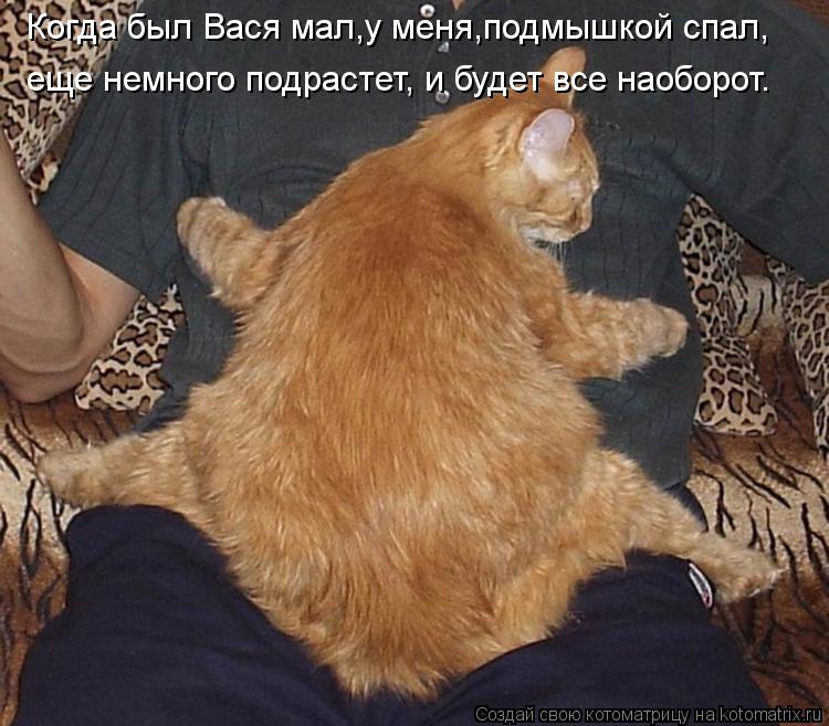 Котоматрица: Когда был Вася мал,у меня,подмышкой спал, еще немного подрастет, и будет все наоборот.