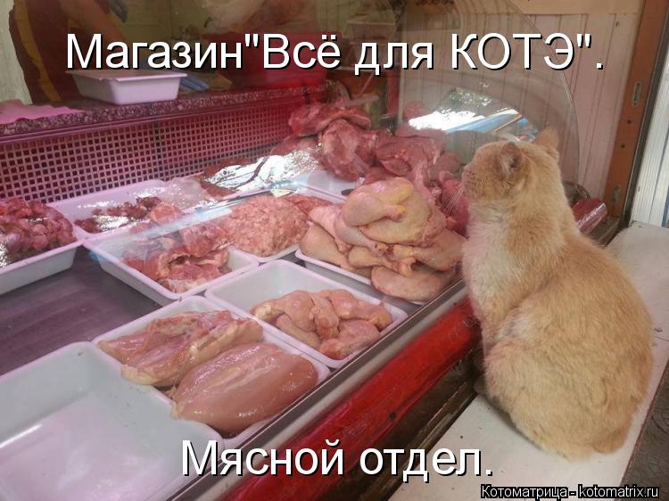 Магазин"Всё для КОТЭ". Мясной отдел.... Котоматрица: Магазин"Всё для КОТЭ". Мясной отдел.