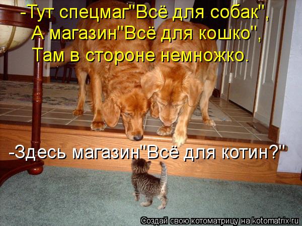 -Тут спецмаг"Всё для собак", А магазин"Всё для кошко", Там в стороне немножко. -Здесь магазин"Всё для... Котоматрица: -Тут спецмаг"Всё для собак", А магазин"Всё для кошко", Там в стороне немножко. -Здесь магазин"Всё для котин?"