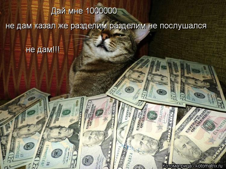 Дай мне 1000000 не дам казал же разделим разделим не послушался не дам!!!... Котоматрица: Дай мне 1000000 не дам казал же разделим разделим не послушался не дам!!!