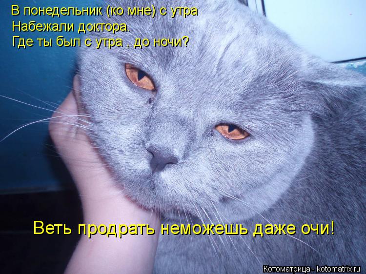 В понедельник (ко мне) с утра Набежали доктора. Где ты был с утра , до ночи? Веть продрать неможешь д... Котоматрица: В понедельник (ко мне) с утра Набежали доктора. Где ты был с утра , до ночи? Веть продрать неможешь даже очи!