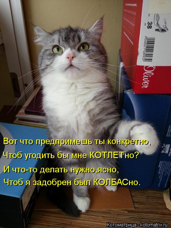 Котоматрица: Чтоб угодить бы мне КОТЛЕТно? И что-то делать нужно,ясно, Вот что предпримешь ты конкретно, Чтоб я задобрен был КОЛБАСно.