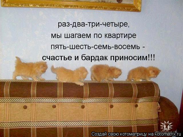 мы шагаем по квартире раз-два-три-четыре, пять-шесть-семь-восемь - счастье и бардак приносим!!!... Котоматрица: мы шагаем по квартире раз-два-три-четыре, пять-шесть-семь-восемь - счастье и бардак приносим!!!
