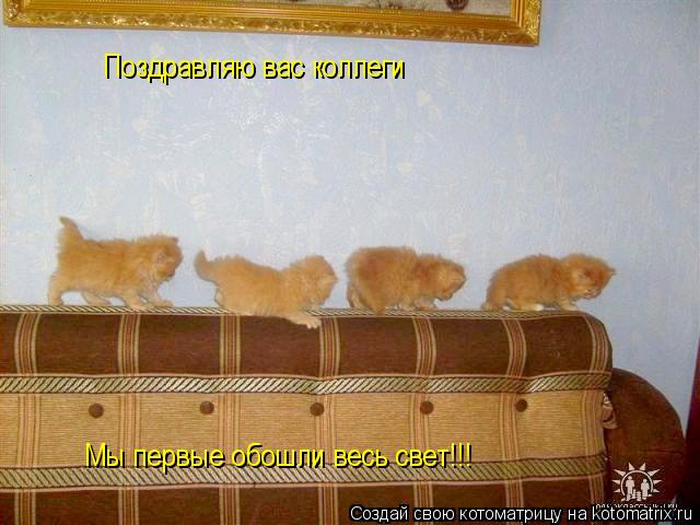 Поздравляю вас коллеги Мы первые кто Мы первые обошли весь свет!!!... Котоматрица: Поздравляю вас коллеги Мы первые кто Мы первые обошли весь свет!!!