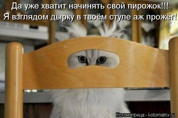 Да уже хватит начинять свой пирожок!!! Я взглядом дырку в твоём стуле аж прожёг!... Котоматрица: Да уже хватит начинять свой пирожок!!! Я взглядом дырку в твоём стуле аж прожёг!