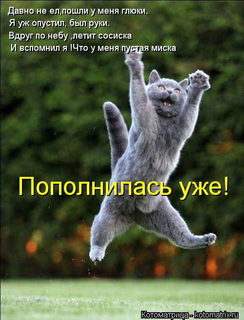 Давно не ел,пошли у меня глюки. Я уж опустил, был руки. Вдруг по небу ,летит сосиска И вспомнил я !Чт... Котоматрица: Давно не ел,пошли у меня глюки. Я уж опустил, был руки. Вдруг по небу ,летит сосиска И вспомнил я !Что у меня пустая миска Пополнилась уже!