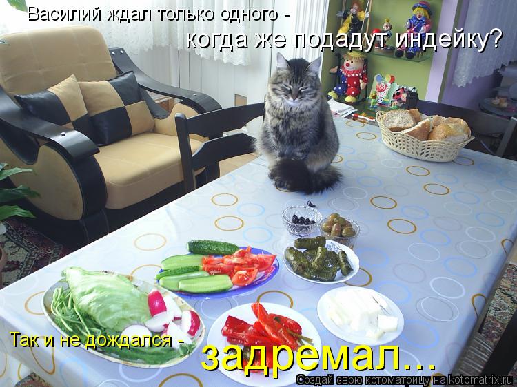 Василий ждал только одного - когда же подадут индейку? Так и не дождался - задремал...... Котоматрица: Василий ждал только одного - когда же подадут индейку? Так и не дождался - задремал...