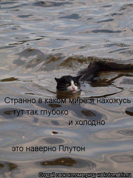 Котоматрица: Странно в каком мире я нахожусь тут так глубоко и холодно это наверно Плутон