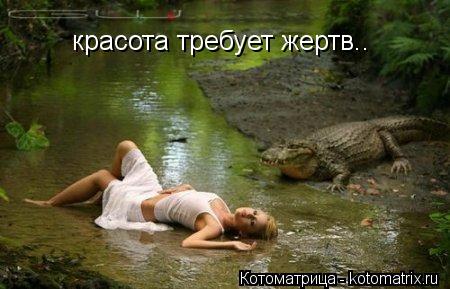 красота требует жертв..... Котоматрица: красота требует жертв..