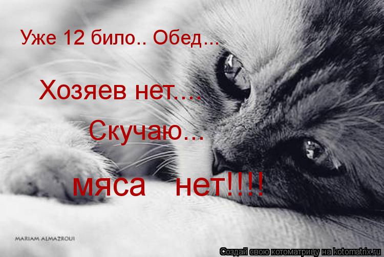 Уже 12 било.. Обед... Хозяев нет.... Скучаю... мяса нет!!!!... Котоматрица: Уже 12 било.. Обед... Хозяев нет.... Скучаю... мяса нет!!!!