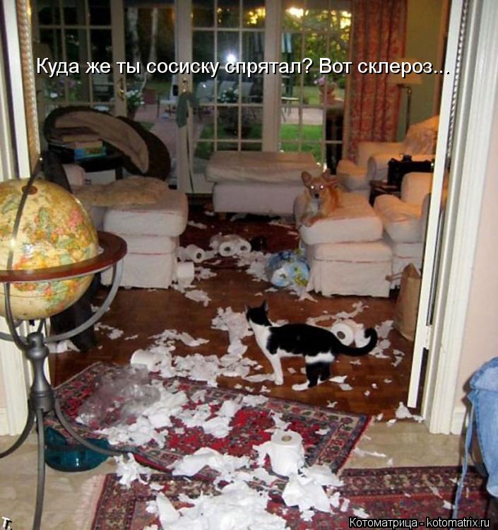 Куда же ты сосиску спрятал? Вот склероз...... Котоматрица: Куда же ты сосиску спрятал? Вот склероз...