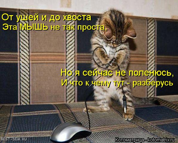 От ушей и до хвоста Эта МЫШЬ не так проста, Но я сейчас не поленюсь, И что к чему тут - разберусь... Котоматрица: От ушей и до хвоста Эта МЫШЬ не так проста, Но я сейчас не поленюсь, И что к чему тут - разберусь