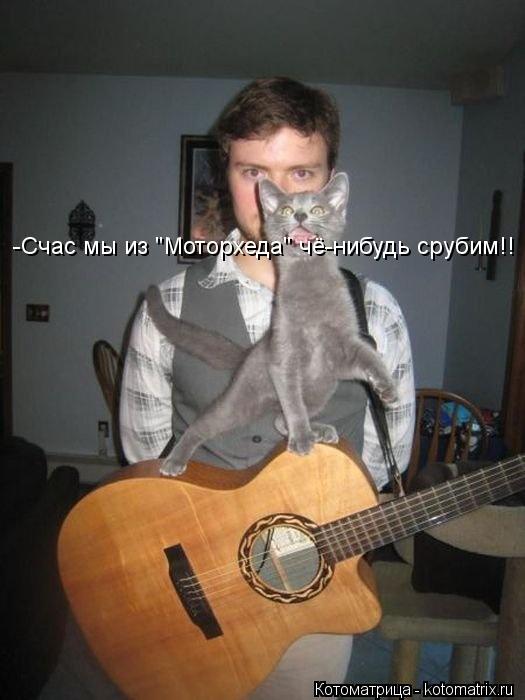 -Счас мы из "Моторхеда" чё-нибудь срубим!!... Котоматрица: -Счас мы из "Моторхеда" чё-нибудь срубим!!