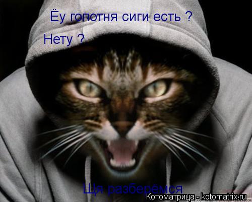 Котоматрица: Ёу гопотня сиги есть ? Нету ? Щя разберёмся