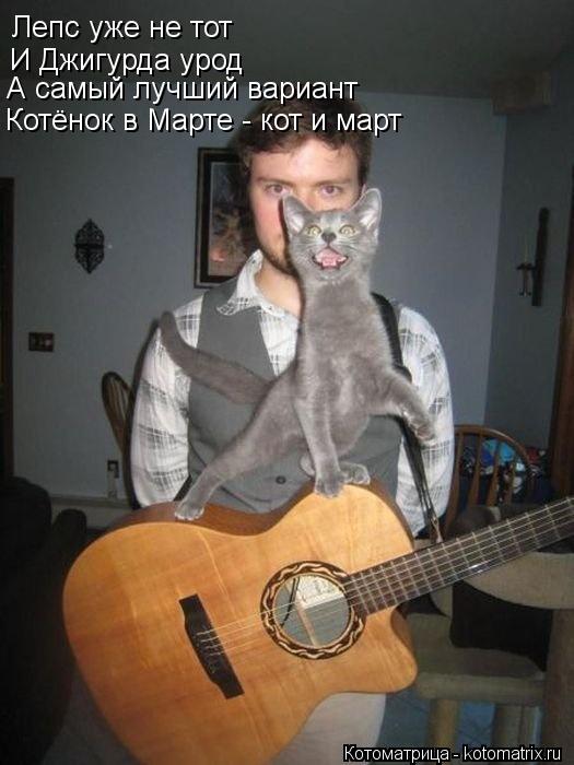 Котоматрица: Лепс уже не тот  И Джигурда урод А самый лучший вариант Котёнок в Марте - кот и март