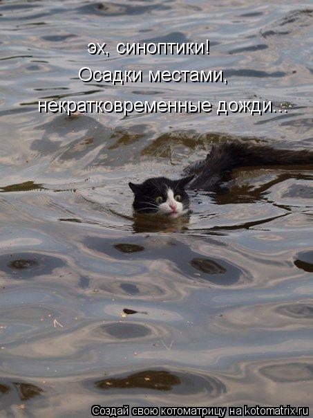 http://kotomatrix.ru/images/lolz/2013/07/30/kotomatritsa__y.jpg