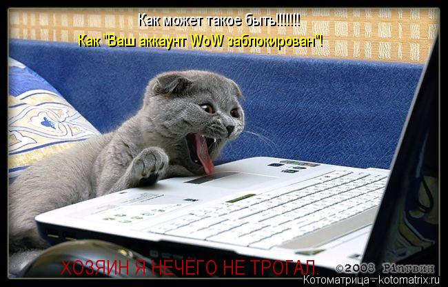 Как может такое быть!!!!!!! Как "Ваш аккаунт WoW заблокирован"! ХОЗЯИН Я НЕЧЕГО НЕ ТРОГАЛ.... Котоматрица: Как может такое быть!!!!!!! Как "Ваш аккаунт WoW заблокирован"! ХОЗЯИН Я НЕЧЕГО НЕ ТРОГАЛ.