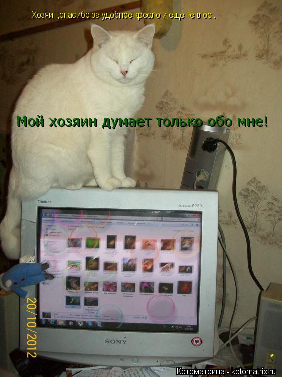 Хозяин,спасибо за удобное кресло и ещё тёплое . Мой хозяин думает только обо мне!... Котоматрица: Хозяин,спасибо за удобное кресло и ещё тёплое . Мой хозяин думает только обо мне!