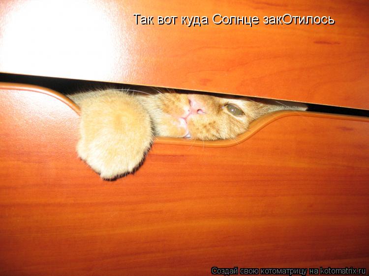 Так вот куда Солнце закОтилось... Котоматрица: Так вот куда Солнце закОтилось