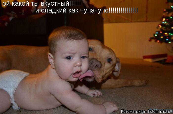 ой какой ты вкустный!!!!!! и сладкий как чупачупс!!!!!!!!!!!!!!!... Котоматрица: ой какой ты вкустный!!!!!! и сладкий как чупачупс!!!!!!!!!!!!!!!