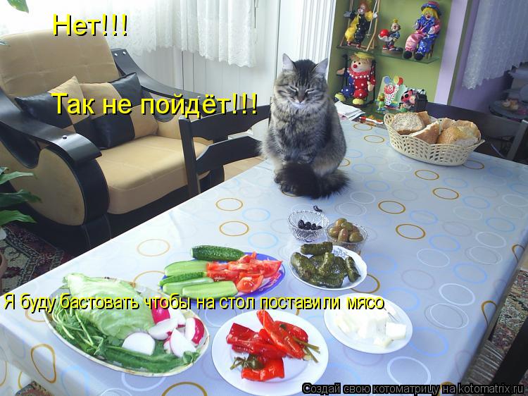 Нет!!! Так не пойдёт!!! Я буду бастовать чтобы на стол поставили мясо... Котоматрица: Нет!!! Так не пойдёт!!! Я буду бастовать чтобы на стол поставили мясо