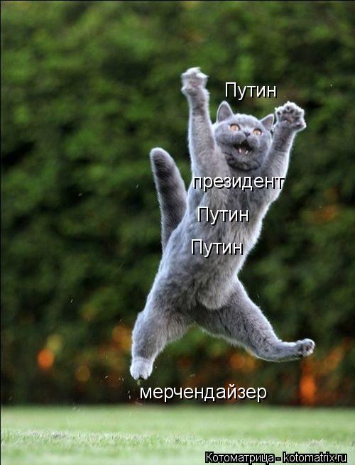 мерчендайзер президент Путин Путин Путин... Котоматрица: мерчендайзер президент Путин Путин Путин