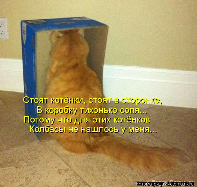 Стоят котёнки, стоят в сторонке, В коробку тихонько сопя... Потому что для этих котёнков Колбасы не н... Котоматрица: Стоят котёнки, стоят в сторонке, В коробку тихонько сопя... Потому что для этих котёнков Колбасы не нашлось у меня...